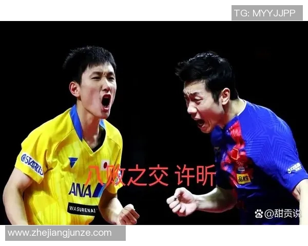马龙与张本智和精彩对决下载地址分享及赛事分析