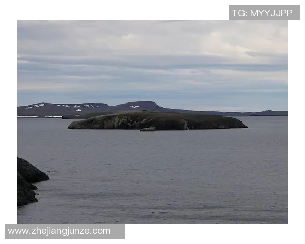 乌拉尔与喀拉的较量分析：两队实力对比与战术探讨